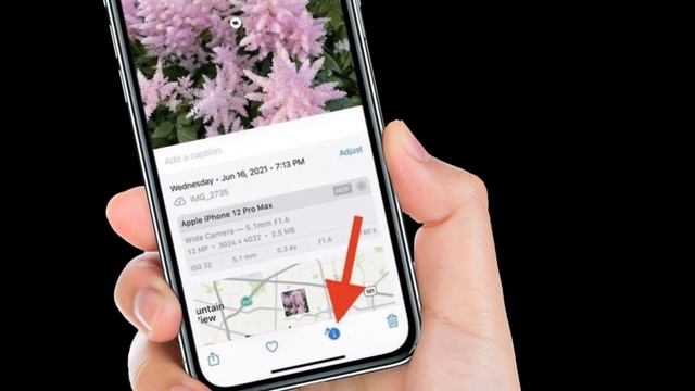 How to Use Visual Lookup in Photos in iOS 16 on iPhone and iPad смотреть онлайн