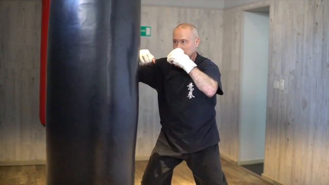 ШКОЛА ИЦЮАНЬ-150/ Yiquan - Bag Training / ОТРАБОТКА УДАРОВ ПО МЕШКУ (Чжи Цюань)