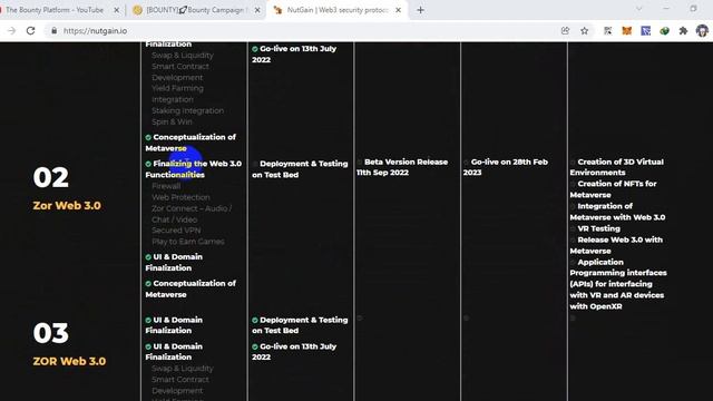 NutGain | Metaverse and Wallet Details смотреть онлайн