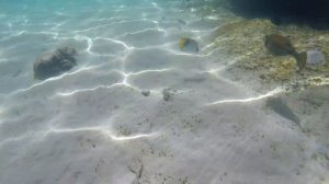 Египет Hurghada 09 2022 отель Blend club aqua resort 4 риф и рыбы 1 часть