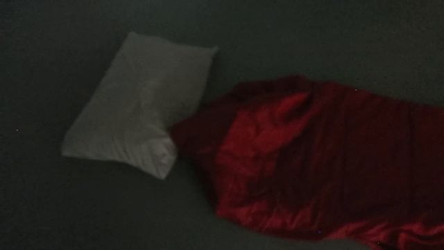How To Lucid Dream Tonight In 16 Minutes!