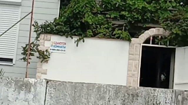 Лазаревское пляж морская звезда. Что? да как? смотреть онлайн