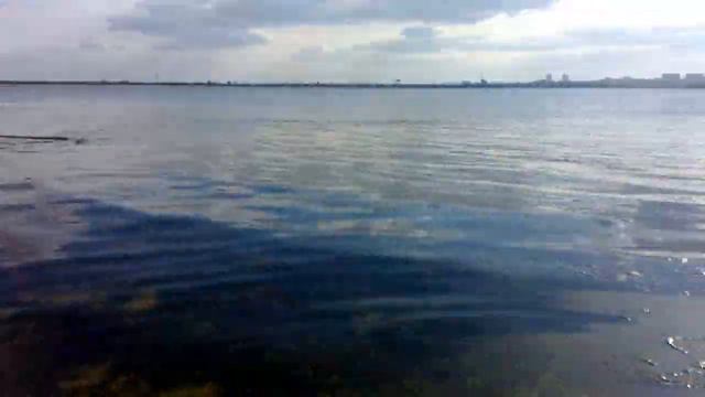 Отмель на Киевском море смотреть онлайн