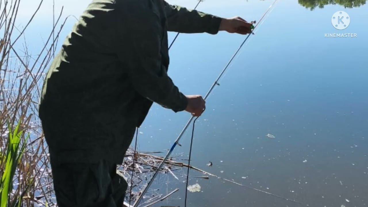 Рыбалка. смотреть онлайн