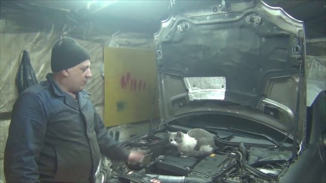 Mercedes C200 не включается АКПП 722.6. Действительно ли менялось масло в АКПП? смотреть онлайн
