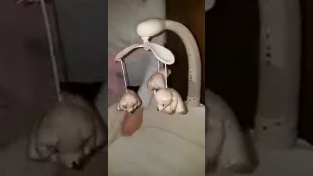 Детская люлька Симплесити смотреть онлайн