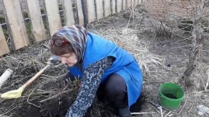 КАК ДЕЛИТЬ ПИОН!