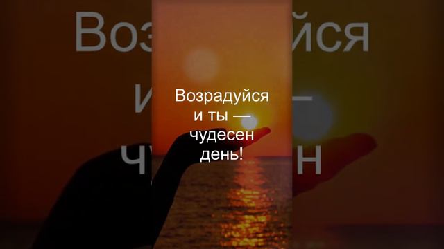 ДОБРОЕ УТРО! #пожелания #foryou #доброеутро #shortsvideo #subscribe смотреть онлайн