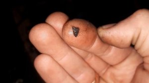 Замена уплотнений ТНВД. Двигатель TD27t