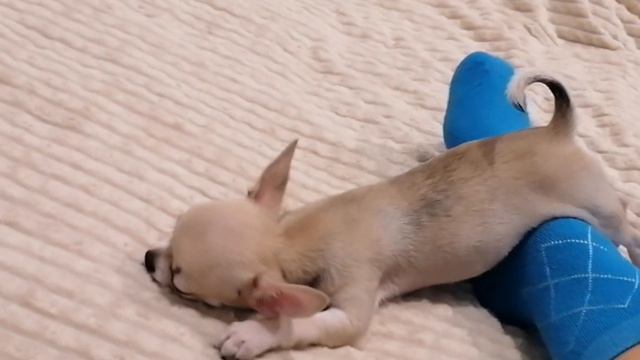 МашА не МашА🙈когдА хочет спАть😴 смотреть онлайн