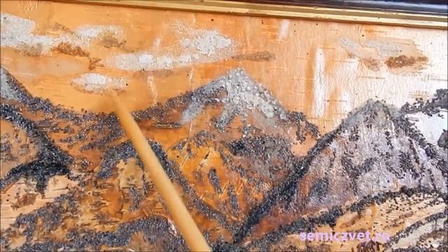 ??? Картины из бересты и коры. Природные материалы в живописи смотреть онлайн