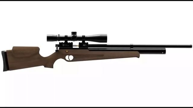 КАК ПРАВИЛЬНО ВЫБРАТЬ ПНЕВМАТИЧЕСКУЮ ВИНТОВКУ ДЛЯ ОХОТЫ #Охота_с_пневматикой #Пневматика #Оружие смотреть онлайн