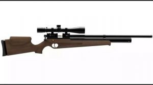 КАК ПРАВИЛЬНО ВЫБРАТЬ ПНЕВМАТИЧЕСКУЮ ВИНТОВКУ ДЛЯ ОХОТЫ #Охота_с_пневматикой #Пневматика #Оружие