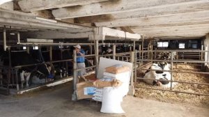 Как живут Амиши в Америке. Жизнь без телефона, автомобиля и интернета - как в 17 веке! Amish people