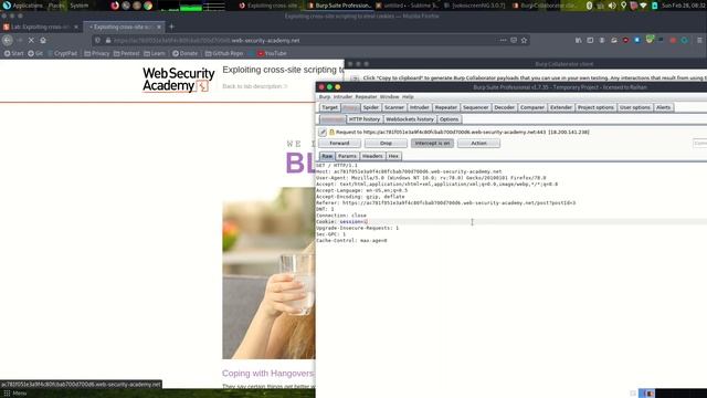 Exploiting cross-site scripting to steal cookies смотреть онлайн