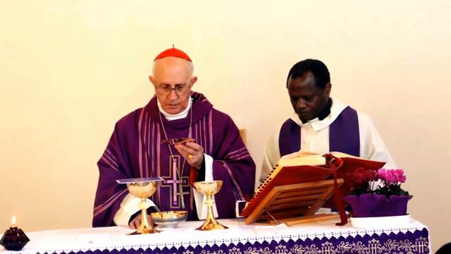 SER Cardinal Filoni смотреть онлайн