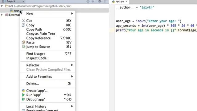 Our Age application in PyCharm (Python Crash Course) смотреть онлайн