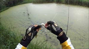 Ловля щуки на неогруженную резину.