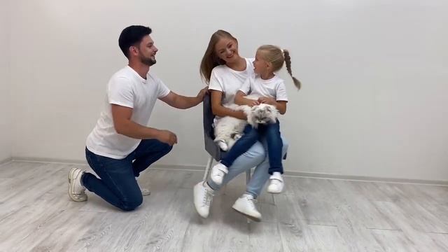 СТУЛЬЯ поворотные смотреть онлайн