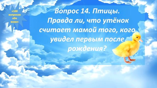 Сто вопросов обо всем - часть 1