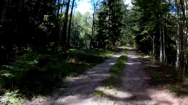 Узкоколейка-2017 [27] Дачный щебень - болотистые места смотреть онлайн