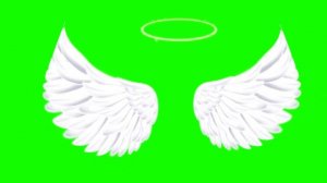 футаж крыльев ангела и нимф?