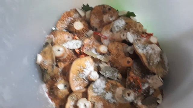 Соленые рыжики холодным (сухим) способом. смотреть онлайн