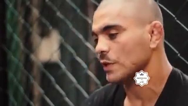 Paulo Filho e Ricardo Arona lendas vivas do MMA e do BJJ смотреть онлайн