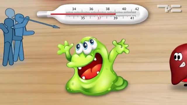 Здоровье за 60 секунд! - «Утро с Вами» 25.04.2017 смотреть онлайн
