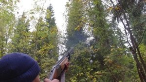 ОХОТА НА БОРОВУЮ ДИЧЬ С МАНКОМ. ВЫСТРЕЛ ИЗ РУЖЬЯ ПО ПТИЦЕ.