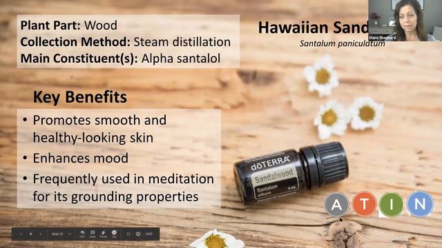 Essential Oils Foundations Class #1 смотреть онлайн