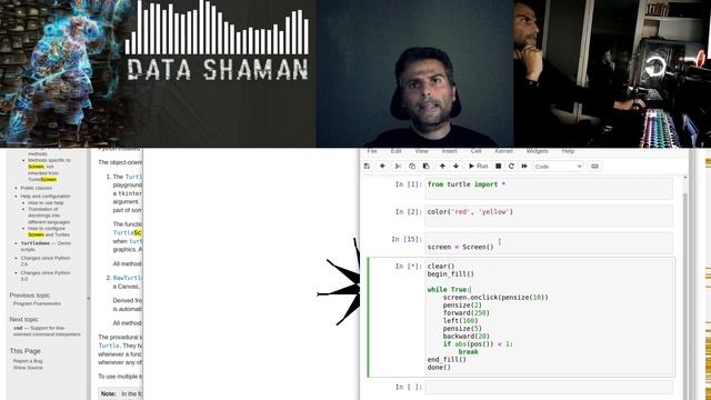 Using Turtle Python for NFT Generative Art (Algorithmic Art) [Tutorial] смотреть онлайн