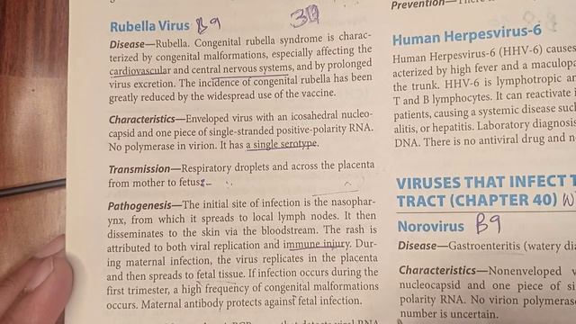 Rubella virus || levinson || special virology levinson || medicose fantasy смотреть онлайн