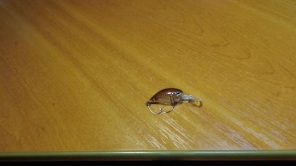 Обзор воблера Jackall Timon Panicra по заказу Fmagazin