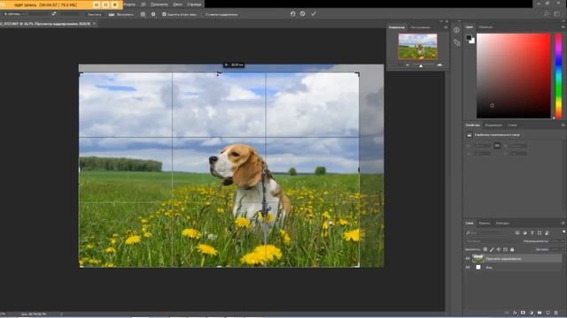 Конвертация RAW-файлов Nikon D3300 смотреть онлайн