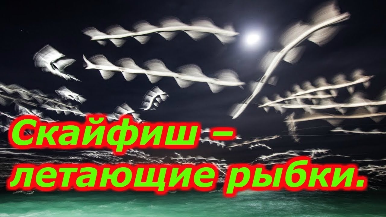 Скайфиши: Летающие стержни!!!+новый клиент смотреть онлайн