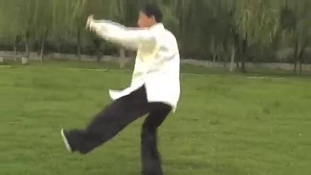 Тяньчжушаньский цигун смотреть онлайн