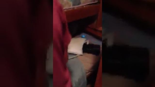 Gator Alarm смотреть онлайн