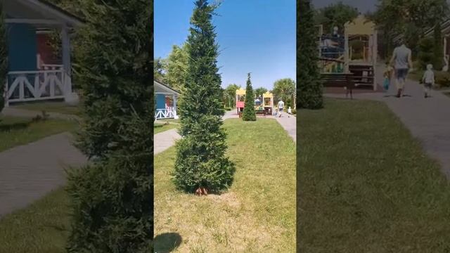 Дача Дель Соль 2020. Дача del sol. Отдых в Анапе, Витязево смотреть онлайн