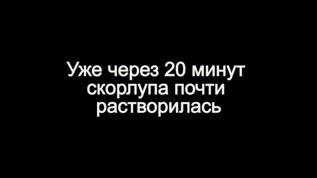 Новейший реагент от Thor.chemical быстро, эффективно и безопасно растворяет яичную скорлупу смотреть онлайн