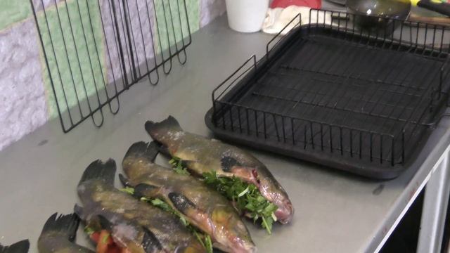 Линь на мангале. Рецепт рыбакам и не только. От такой рыбки не откажется никто. смотреть онлайн