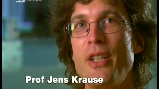 25с. Стр смотреть онлайн