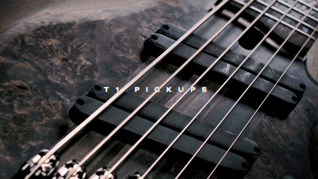 Ibanez Extra Long-Multi Scale Bass BTB806MS feat.Bitoku смотреть онлайн