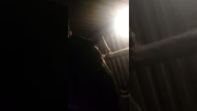 Пьяный кочегар