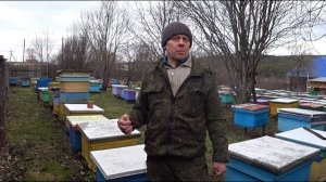 ОШИБКИ НАЧИНАЮЩИХ ПЧЕЛОВОДОВ, НЕТ МАТКИ В СЕМЬЕ ПОСЛЕ ЗИМОВКИ, ЧТО ДЕЛАТЬ?