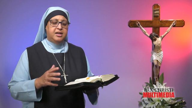 Evangelio del Día | 2 de Julio del 2023 | Mateo 10, 37-42 | Evangelio Explicado смотреть онлайн