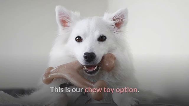 9 Best Dog Toys for Australian Shepherds смотреть онлайн