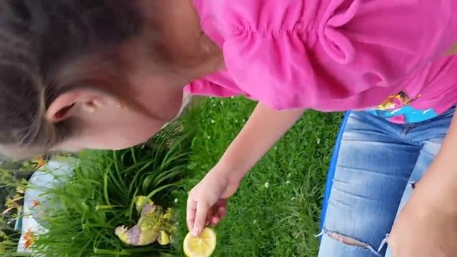 Вызов принят! Собачий корм????? смотреть онлайн