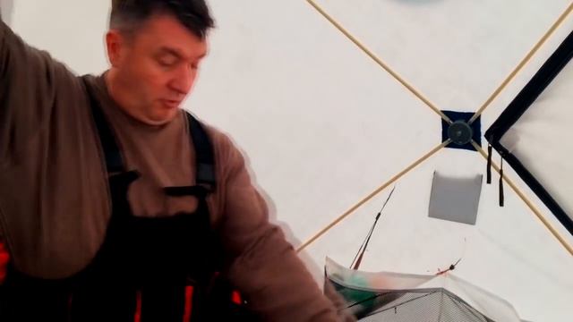 Бычкоин - наша новая приманка! смотреть онлайн