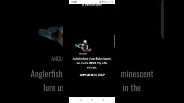 neal.fun-The Deep Sea neal.fun the size of space from life checklist printing shahzad k p official